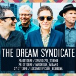 THE DREAM SYNDICATE